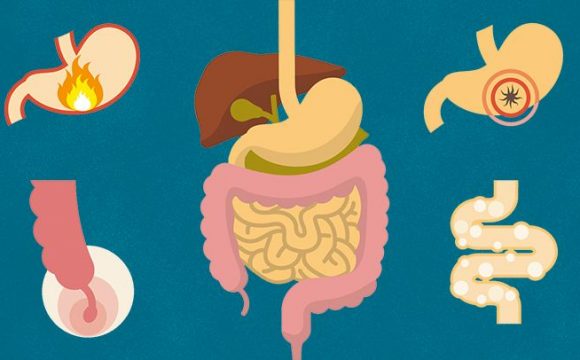 9 Common Digestive Conditions From Top to Bottom